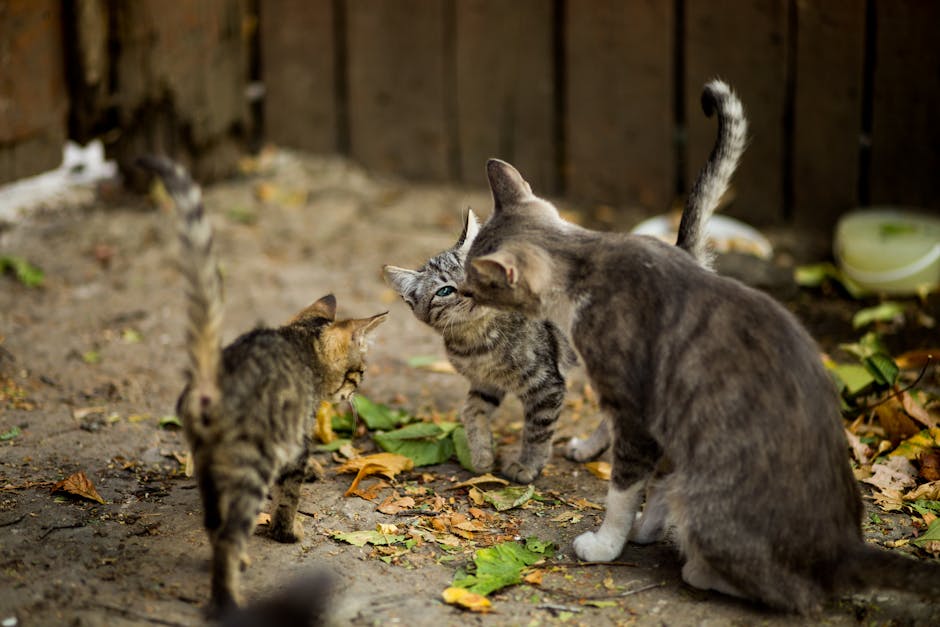 Small Groups